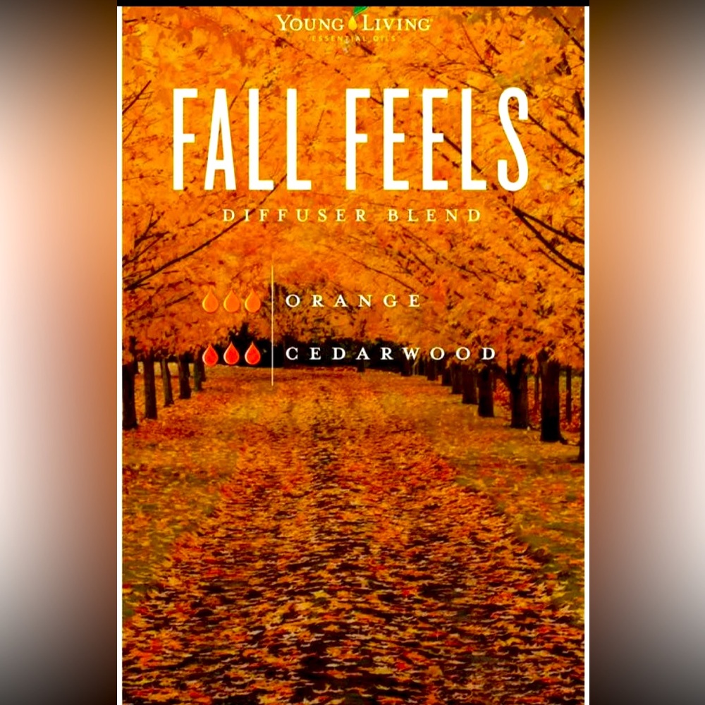 “Fall Feels” (2 Essential Oils)